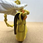 99% New LOEWE Amazona Small Shoulder Bag