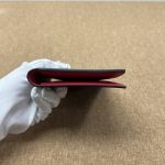 Brand New LV Passport Holder, Cherry Monogram, Chip